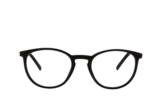 Echo Computer Glasses