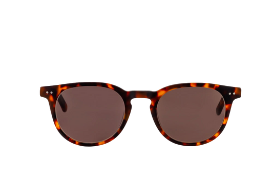 Clarke Sunglasses (Brown) Front View